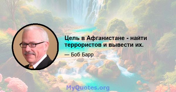 Цель в Афганистане - найти террористов и вывести их.