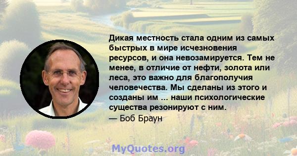 Дикая местность стала одним из самых быстрых в мире исчезновения ресурсов, и она невозамируется. Тем не менее, в отличие от нефти, золота или леса, это важно для благополучия человечества. Мы сделаны из этого и созданы