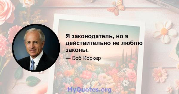 Я законодатель, но я действительно не люблю законы.