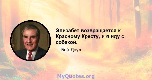 Элизабет возвращается к Красному Кресту, и я иду с собакой.