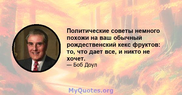 Политические советы немного похожи на ваш обычный рождественский кекс фруктов: то, что дает все, и никто не хочет.