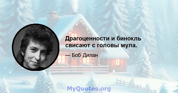 Драгоценности и бинокль свисают с головы мула.