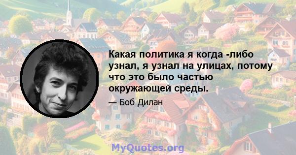 Какая политика я когда -либо узнал, я узнал на улицах, потому что это было частью окружающей среды.