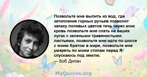 Позвольте мне выпить из вод, где затопление горных ручьев позволит запаху полевых цветов течь через мою кровь позвольте мне спать на ваших лугах с зелеными травянистыми листьями, позвольте мне идти по шоссе с моим