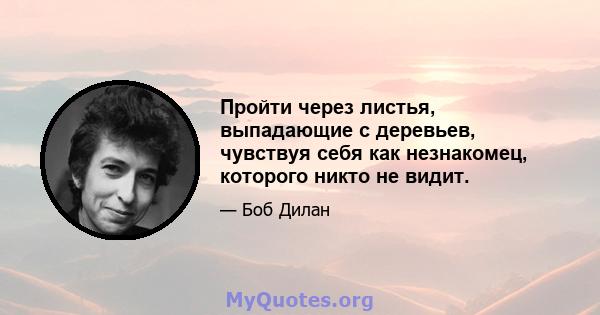 Пройти через листья, выпадающие с деревьев, чувствуя себя как незнакомец, которого никто не видит.