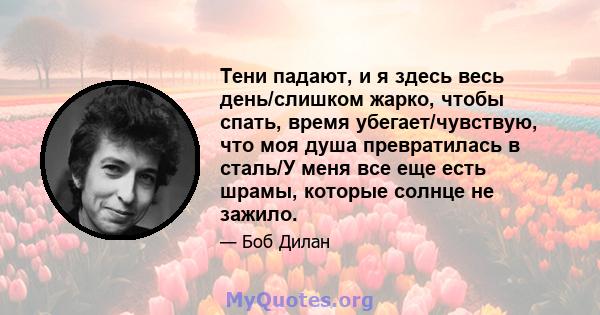 Тени падают, и я здесь весь день/слишком жарко, чтобы спать, время убегает/чувствую, что моя душа превратилась в сталь/У меня все еще есть шрамы, которые солнце не зажило.