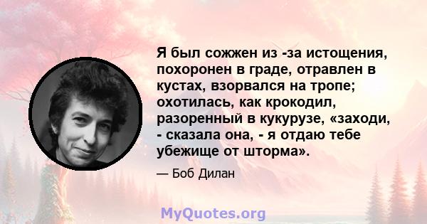 Я был сожжен из -за истощения, похоронен в граде, отравлен в кустах, взорвался на тропе; охотилась, как крокодил, разоренный в кукурузе, «заходи, - сказала она, - я отдаю тебе убежище от шторма».