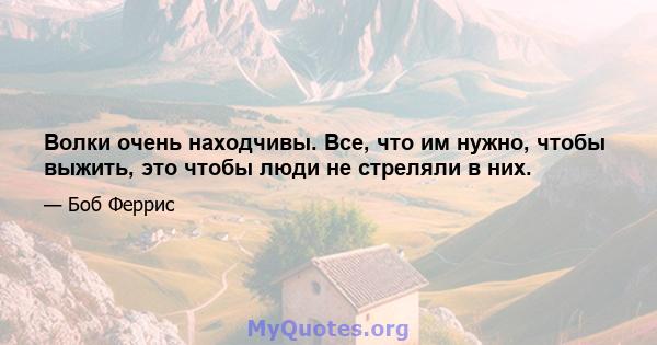 Волки очень находчивы. Все, что им нужно, чтобы выжить, это чтобы люди не стреляли в них.