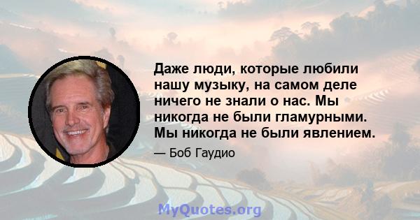 Даже люди, которые любили нашу музыку, на самом деле ничего не знали о нас. Мы никогда не были гламурными. Мы никогда не были явлением.