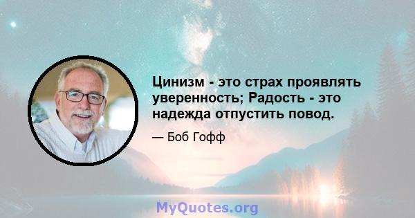 Цинизм - это страх проявлять уверенность; Радость - это надежда отпустить повод.