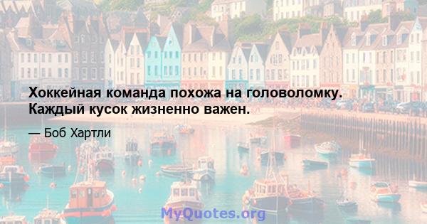 Хоккейная команда похожа на головоломку. Каждый кусок жизненно важен.