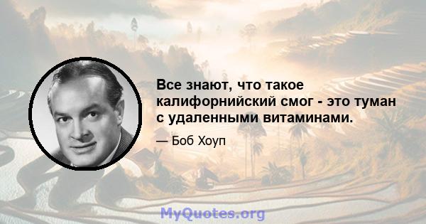 Все знают, что такое калифорнийский смог - это туман с удаленными витаминами.