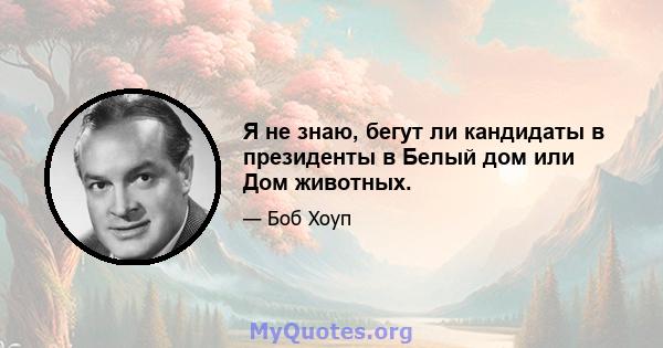 Я не знаю, бегут ли кандидаты в президенты в Белый дом или Дом животных.