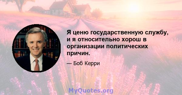 Я ценю государственную службу, и я относительно хорош в организации политических причин.