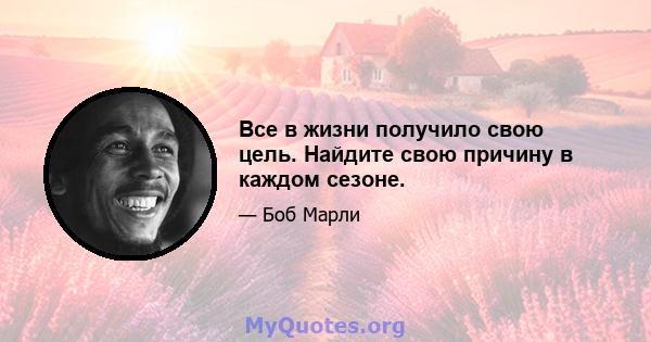 Все в жизни получило свою цель. Найдите свою причину в каждом сезоне.