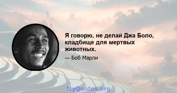 Я говорю, не делай Джа Боло, кладбище для мертвых животных.