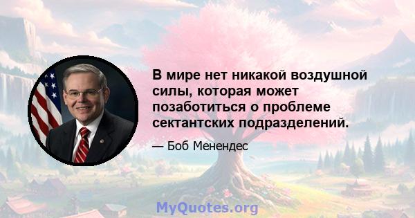 В мире нет никакой воздушной силы, которая может позаботиться о проблеме сектантских подразделений.