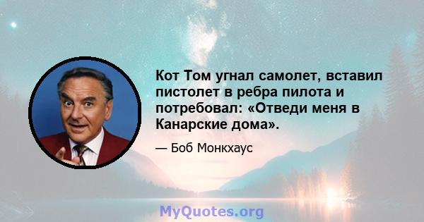 Кот Том угнал самолет, вставил пистолет в ребра пилота и потребовал: «Отведи меня в Канарские дома».