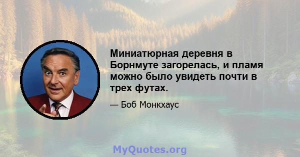 Миниатюрная деревня в Борнмуте загорелась, и пламя можно было увидеть почти в трех футах.