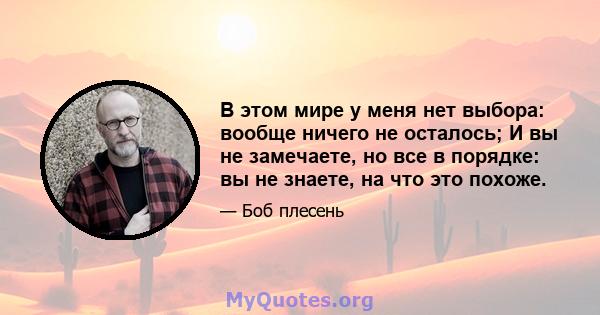 В этом мире у меня нет выбора: вообще ничего не осталось; И вы не замечаете, но все в порядке: вы не знаете, на что это похоже.