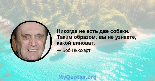 Никогда не есть две собаки. Таким образом, вы не узнаете, какой виноват.