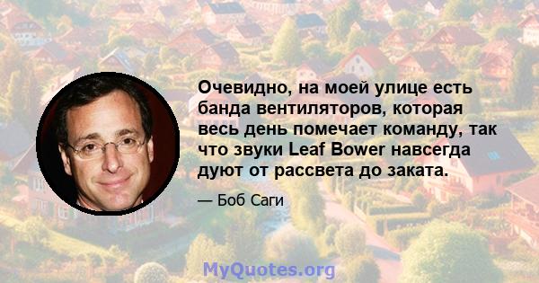 Очевидно, на моей улице есть банда вентиляторов, которая весь день помечает команду, так что звуки Leaf Bower навсегда дуют от рассвета до заката.