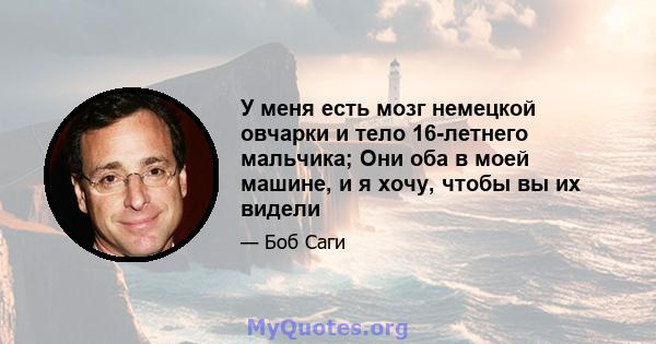 У меня есть мозг немецкой овчарки и тело 16-летнего мальчика; Они оба в моей машине, и я хочу, чтобы вы их видели