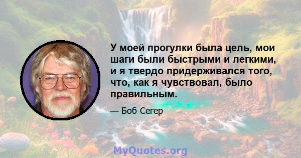 У моей прогулки была цель, мои шаги были быстрыми и легкими, и я твердо придерживался того, что, как я чувствовал, было правильным.