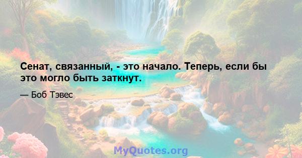 Сенат, связанный, - это начало. Теперь, если бы это могло быть заткнут.