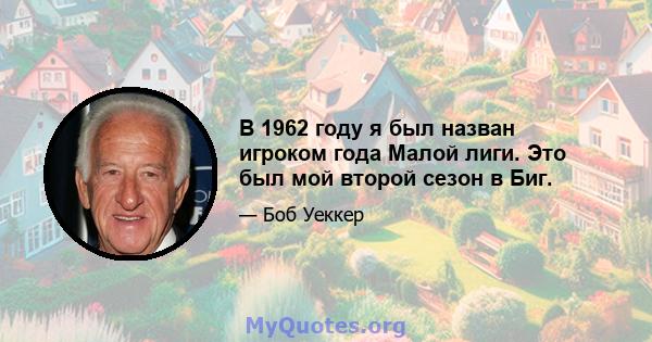 В 1962 году я был назван игроком года Малой лиги. Это был мой второй сезон в Биг.