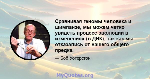 Сравнивая геномы человека и шимпанзе, мы можем четко увидеть процесс эволюции в изменениях (в ДНК), так как мы отказались от нашего общего предка.