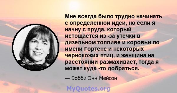 Мне всегда было трудно начинать с определенной идеи, но если я начну с пруда, который истощается из -за утечки в дизельном топливе и коровьи по имени Гортенс и некоторых чернокожих птиц, и женщина на расстоянии