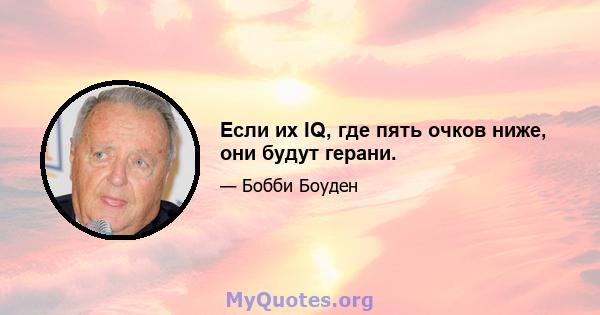 Если их IQ, где пять очков ниже, они будут герани.