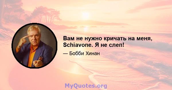 Вам не нужно кричать на меня, Schiavone. Я не слеп!