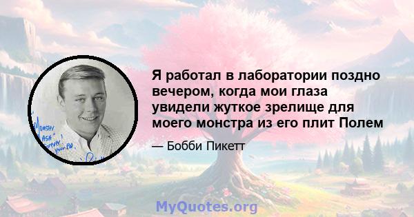 Я работал в лаборатории поздно вечером, когда мои глаза увидели жуткое зрелище для моего монстра из его плит Полем