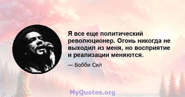 Я все еще политический революционер. Огонь никогда не выходил из меня, но восприятие и реализации меняются.