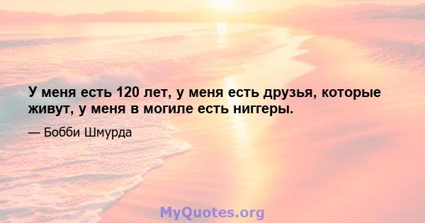 У меня есть 120 лет, у меня есть друзья, которые живут, у меня в могиле есть ниггеры.