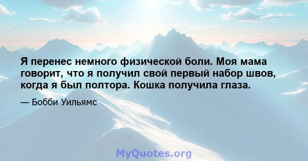 Я перенес немного физической боли. Моя мама говорит, что я получил свой первый набор швов, когда я был полтора. Кошка получила глаза.