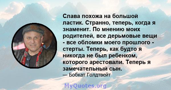 Слава похожа на большой ластик. Странно, теперь, когда я знаменит. По мнению моих родителей, все дерьмовые вещи - все обломки моего прошлого - стерты. Теперь, как будто я никогда не был ребенком, которого арестовали.