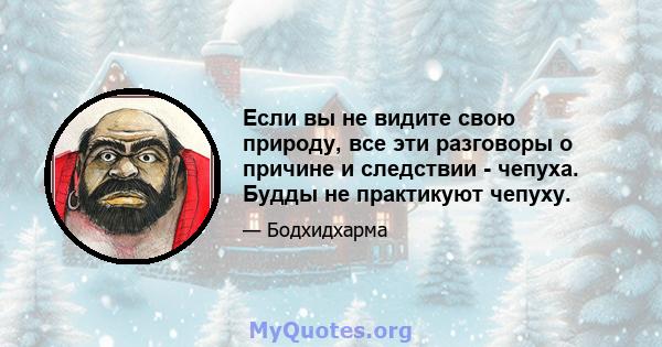 Если вы не видите свою природу, все эти разговоры о причине и следствии - чепуха. Будды не практикуют чепуху.