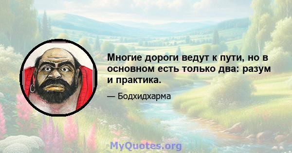 Многие дороги ведут к пути, но в основном есть только два: разум и практика.