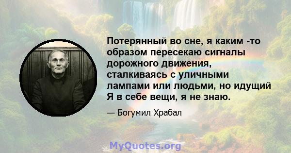 Потерянный во сне, я каким -то образом пересекаю сигналы дорожного движения, сталкиваясь с уличными лампами или людьми, но идущий Я в себе вещи, я не знаю.