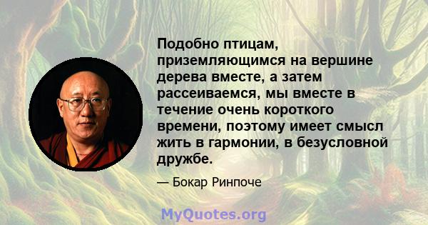 Подобно птицам, приземляющимся на вершине дерева вместе, а затем рассеиваемся, мы вместе в течение очень короткого времени, поэтому имеет смысл жить в гармонии, в безусловной дружбе.