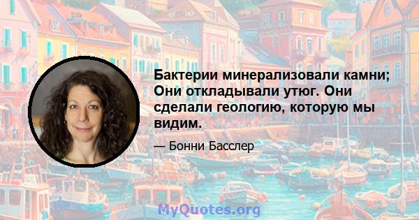 Бактерии минерализовали камни; Они откладывали утюг. Они сделали геологию, которую мы видим.