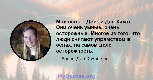 Мои ослы - Джек и Дон Кихот. Они очень умные, очень осторожные. Многое из того, что люди считают упрямством в ослах, на самом деле осторожность.