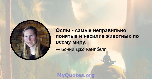 Ослы - самые неправильно понятые и насилие животных по всему миру.