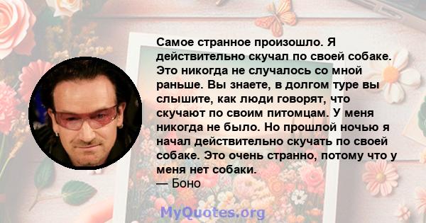 Самое странное произошло. Я действительно скучал по своей собаке. Это никогда не случалось со мной раньше. Вы знаете, в долгом туре вы слышите, как люди говорят, что скучают по своим питомцам. У меня никогда не было. Но 