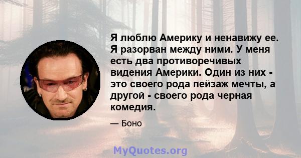 Я люблю Америку и ненавижу ее. Я разорван между ними. У меня есть два противоречивых видения Америки. Один из них - это своего рода пейзаж мечты, а другой - своего рода черная комедия.