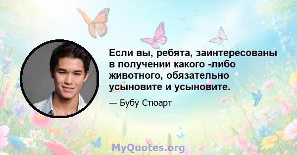 Если вы, ребята, заинтересованы в получении какого -либо животного, обязательно усыновите и усыновите.