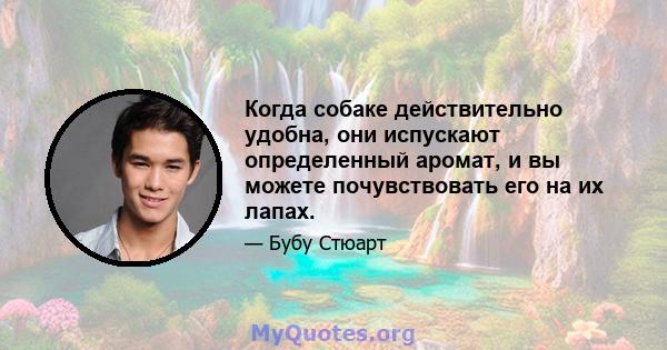 Когда собаке действительно удобна, они испускают определенный аромат, и вы можете почувствовать его на их лапах.